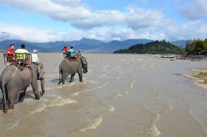 Xe đưa đón sân bay Buôn Ma Thuột Krông Búk